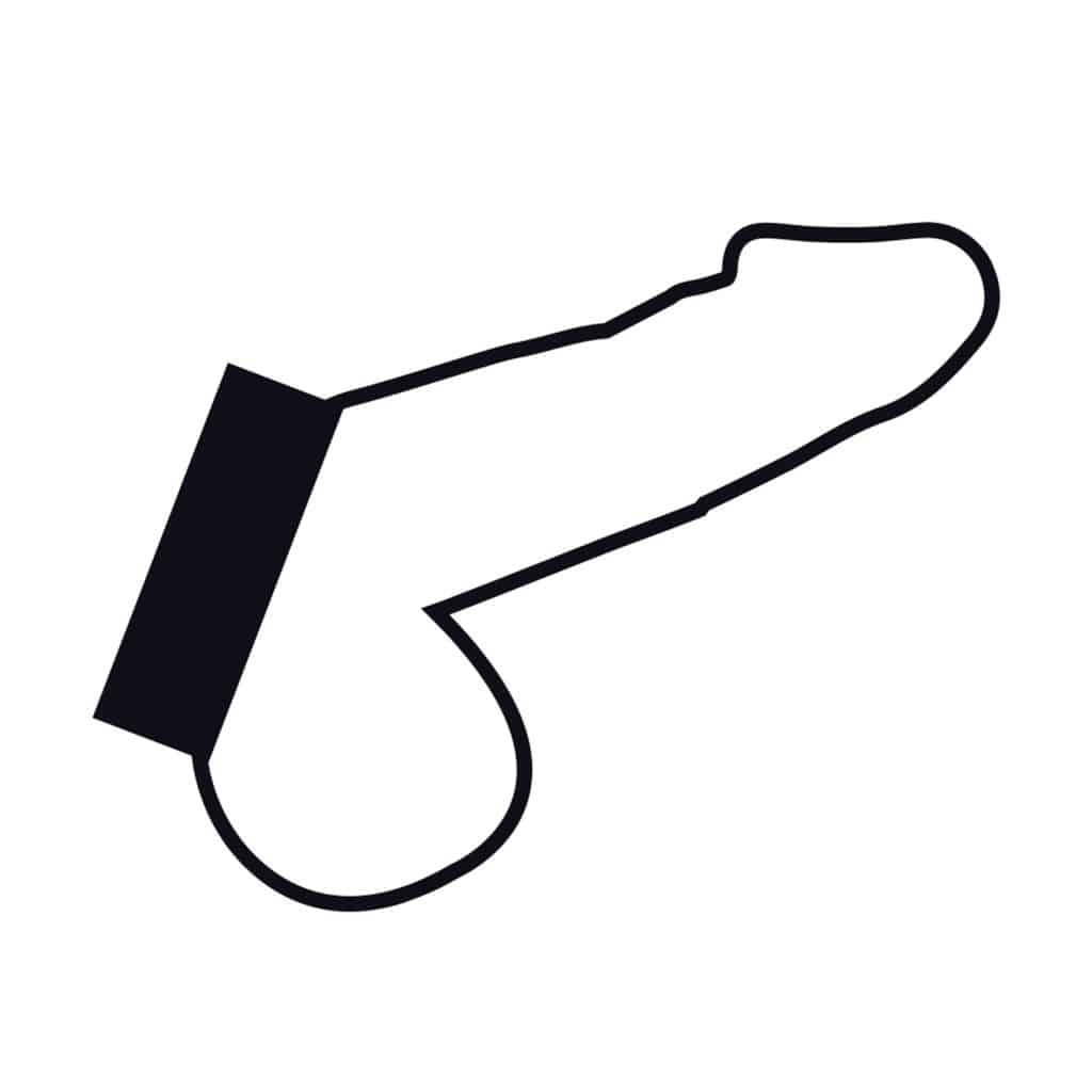 Erection Penisring i Läder med nitar – Svart